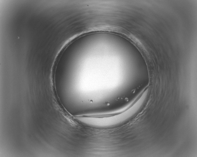 X0000074321230200609230018