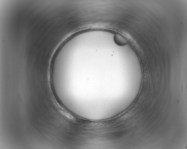 X0000074321232200609230018