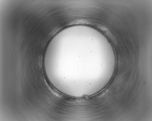 X0000074321233200609230018