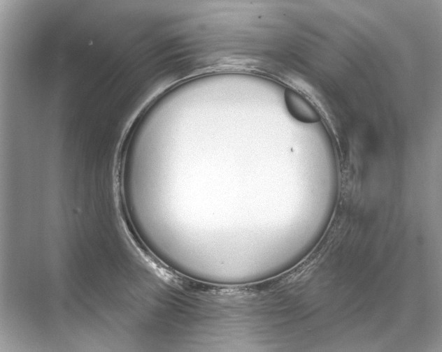 X0000074321235200609230018