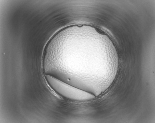 X0000074321236200609230018