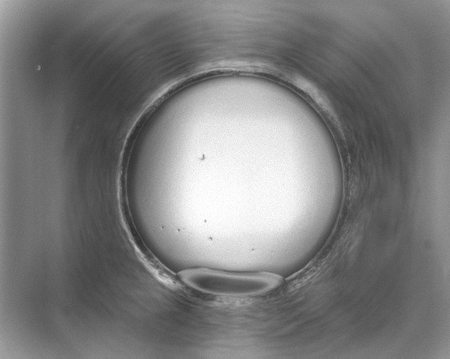 X0000074321237200609230018