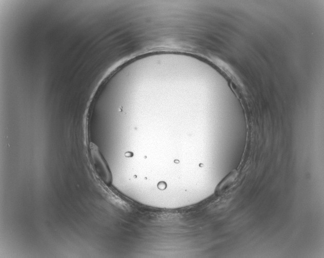 X0000074321238200609230018