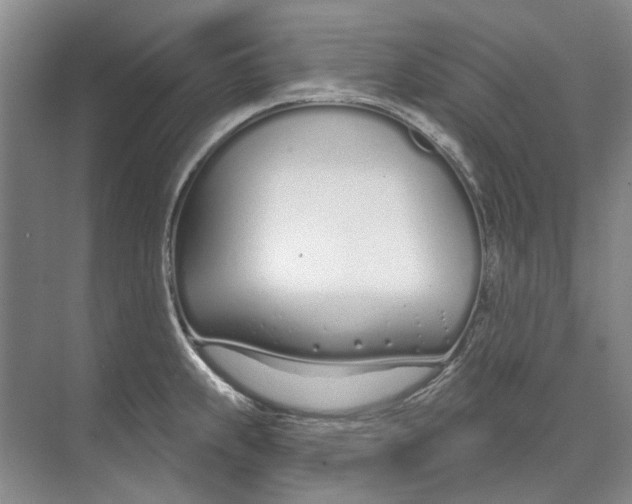 X0000074321239200609230018