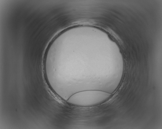 X0000074321240200609230018