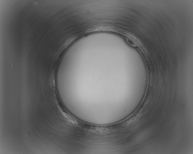 X0000074321241200609230018