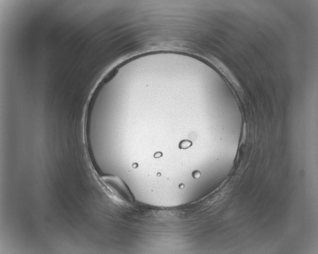 X0000074321246200609230018