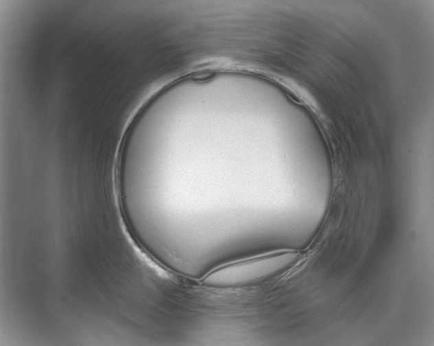 X0000074321247200609230018