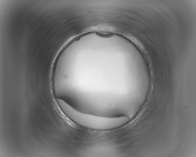 X0000074321248200609230018