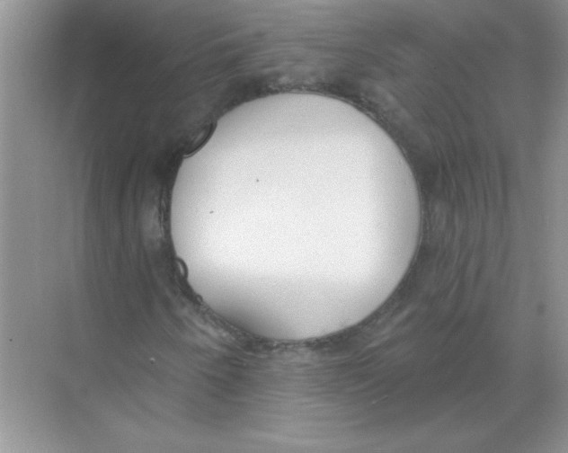 X0000074321250200609230017