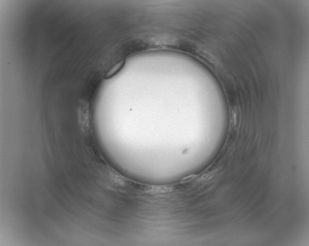 X0000074321251200609230017