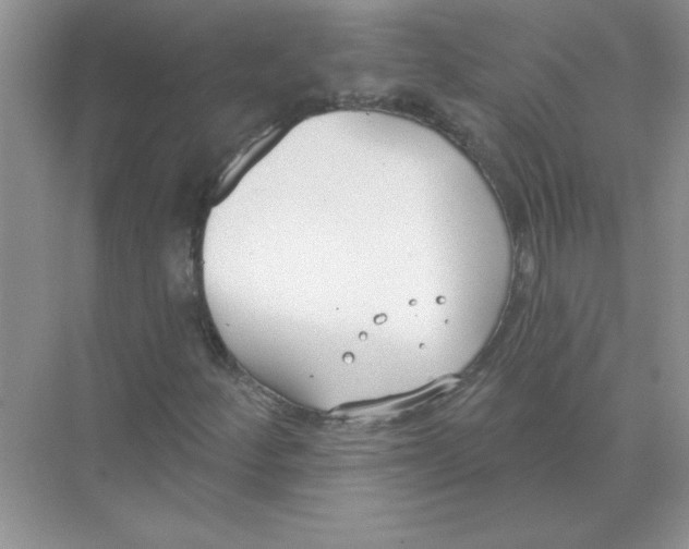 X0000074321252200609230017