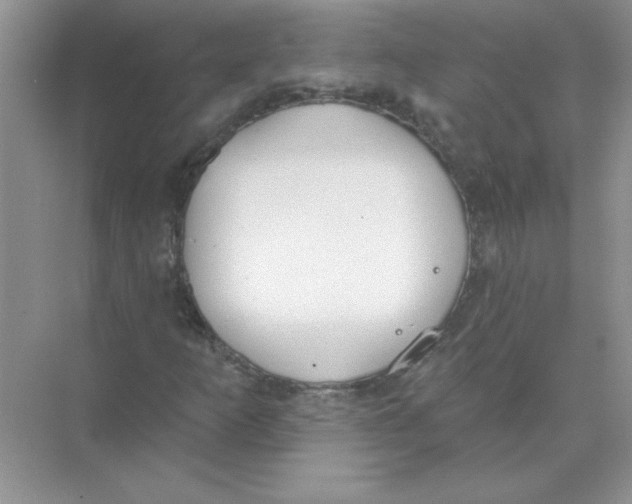 X0000074321253200609230017