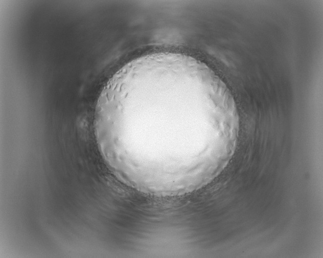 X0000074321254200609230017