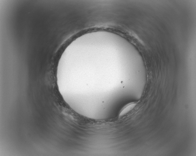 X0000074321256200609230017