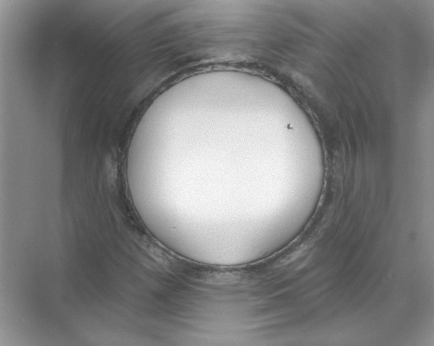 X0000074321257200609230017