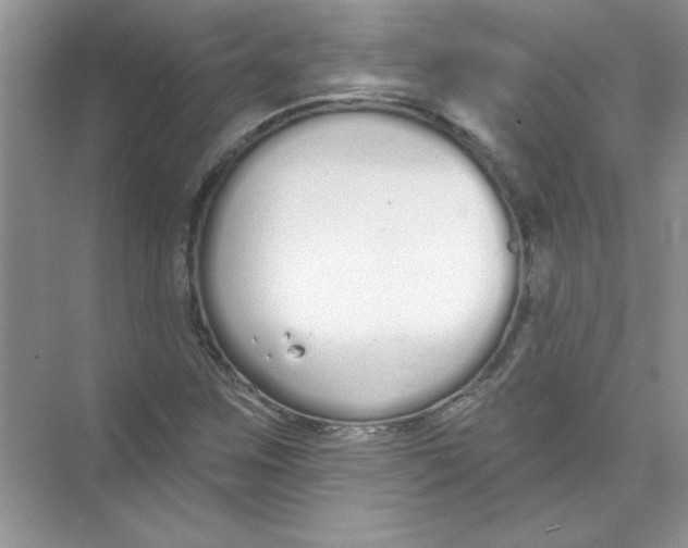 X0000074321259200609230017