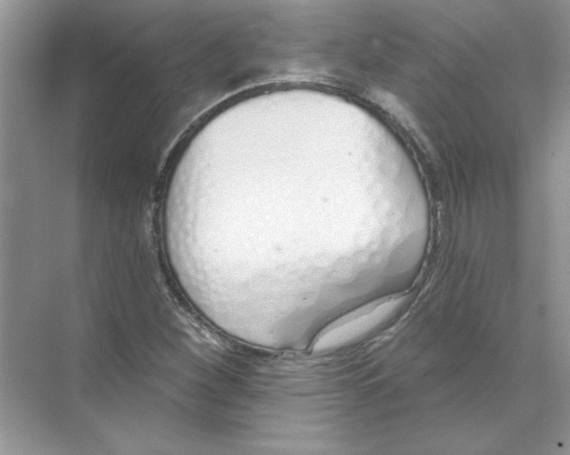 X0000074321260200609230017