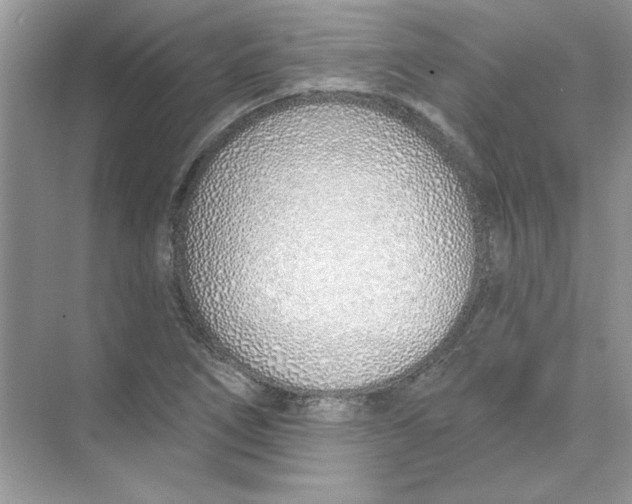 X0000074321266200609230017