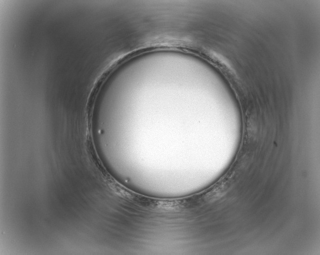 X0000074321267200609230017