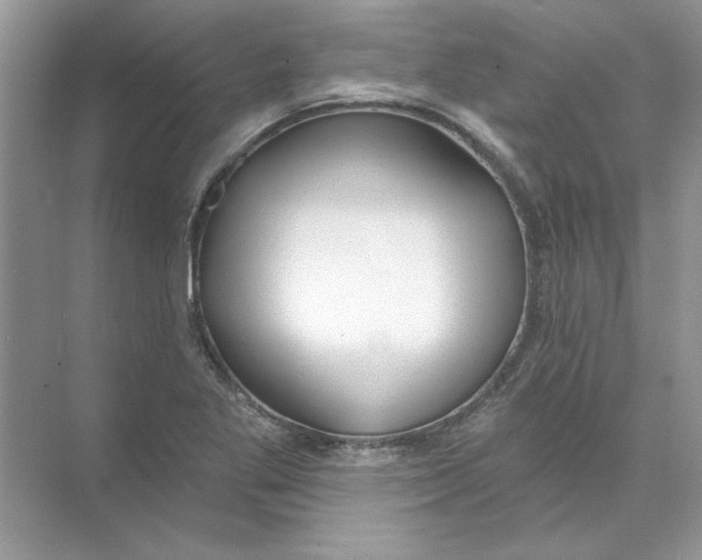 X0000074321269200609230017