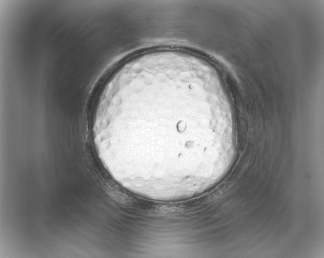 X0000074321271200609230017