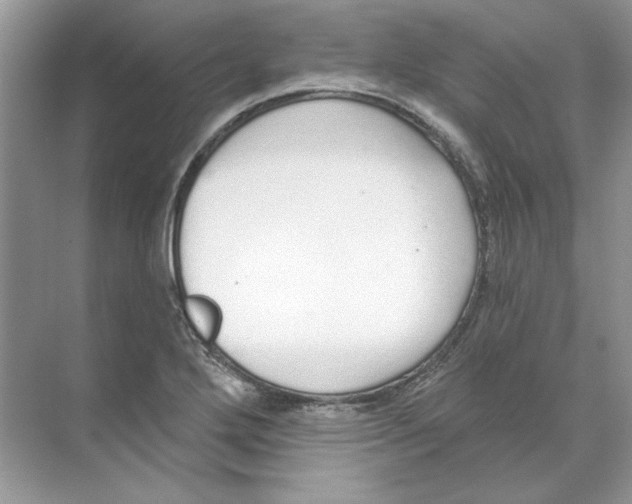 X0000074321272200609230017