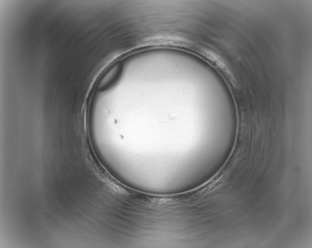 X0000074321275200609230017