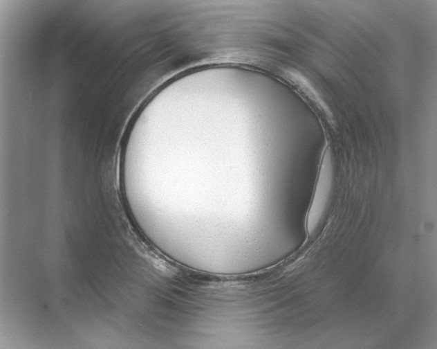 X0000074321276200609230017