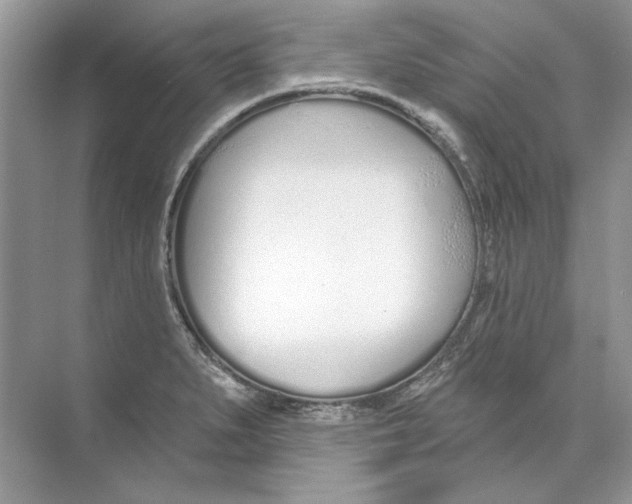 X0000074321279200609230017