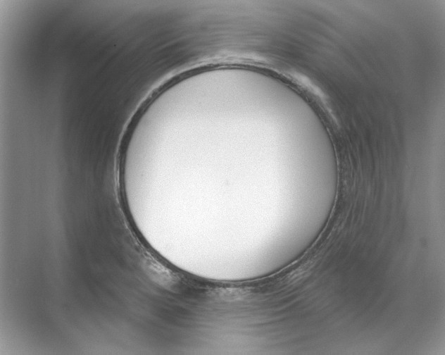 X0000074321280200609230017