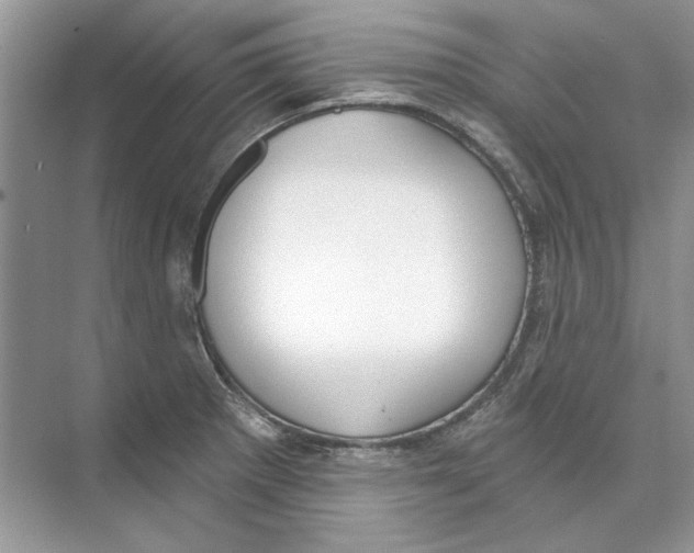 X0000074321281200609230017