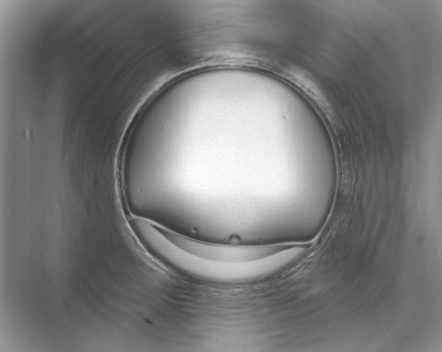 X0000074321283200609230017