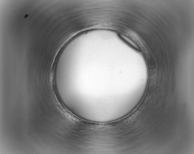 X0000074321284200609230017