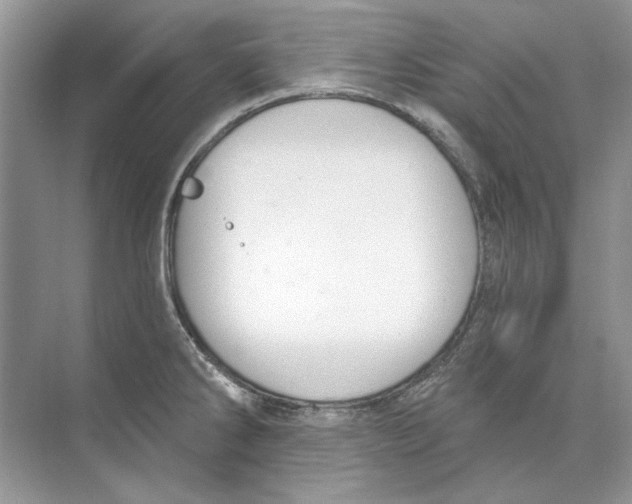 X0000074321286200609230017