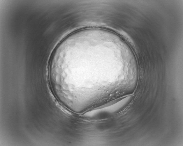 X0000074321287200609230017