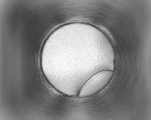 X0000074321288200609230017