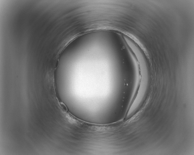 X0000074321289200609230017