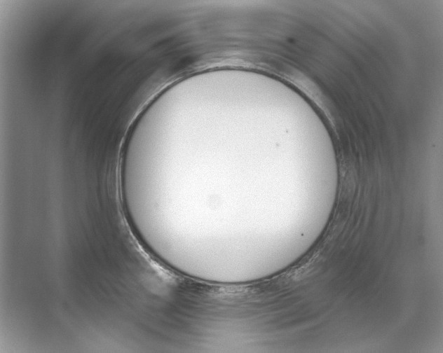 X0000074321290200609230017