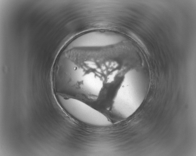 X0000074321291200609230017