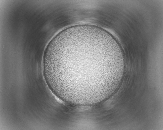 X0000074321294200609230017