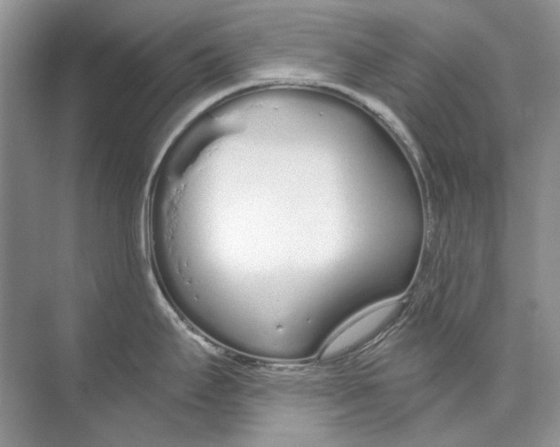 X0000074321295200609230017