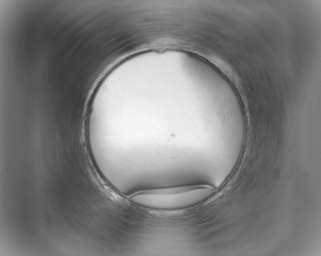 X0000074321296200609230017