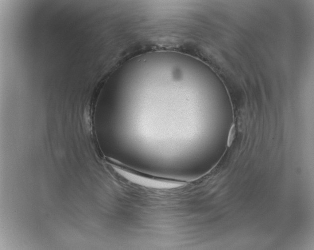 X0000074321298200609230016