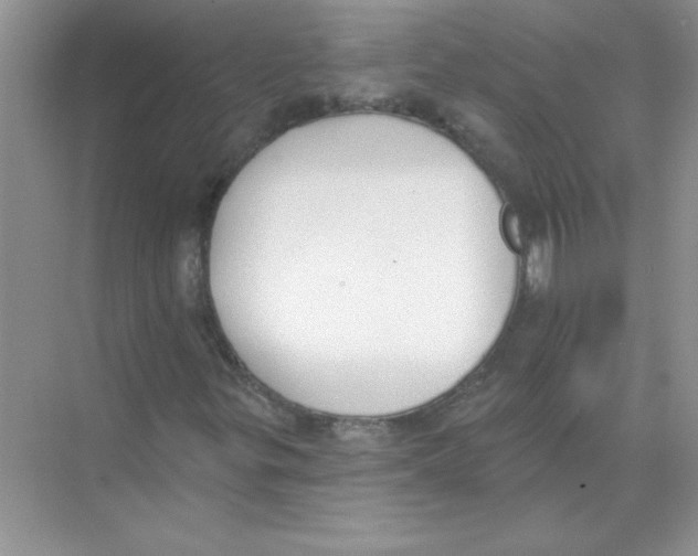 X0000074321299200609230016