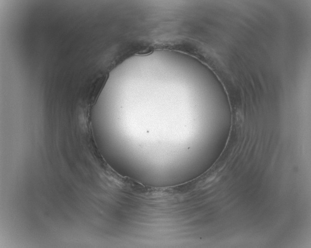 X0000074321300200609230016