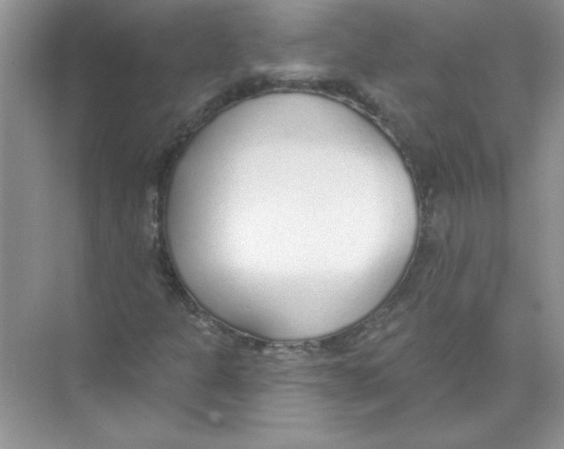 X0000074321301200609230016