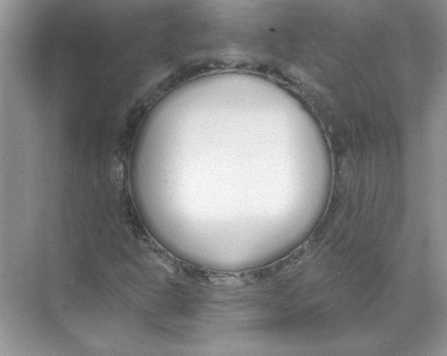 X0000074321302200609230016