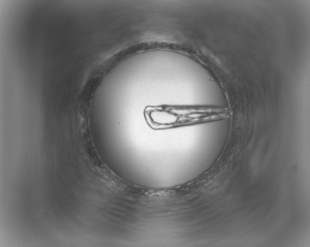 X0000074321303200609230016