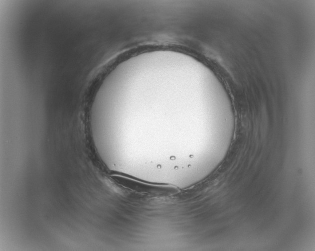 X0000074321304200609230016